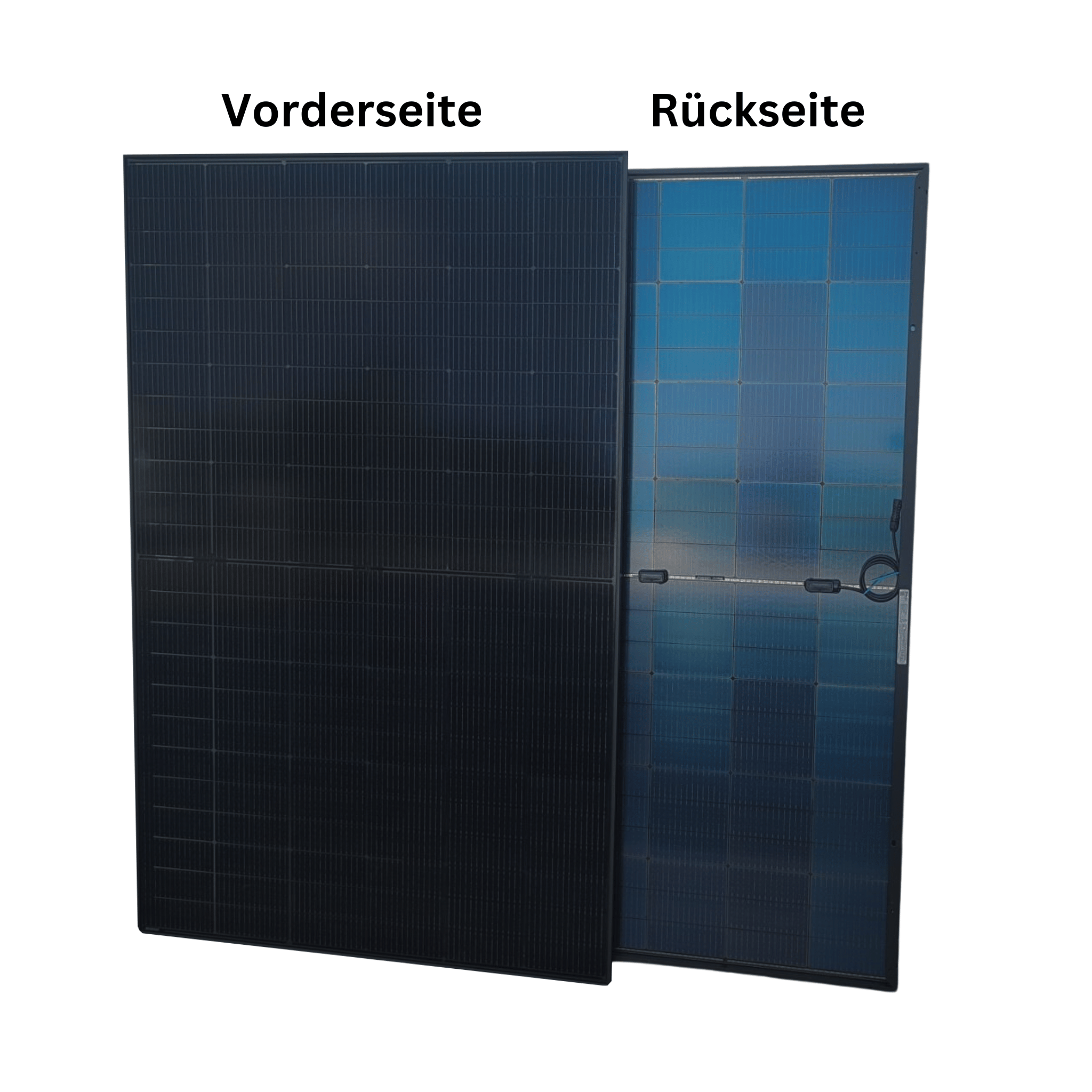 Solarmodul 440Wp Trina Solar Vertex S+ Rückseite